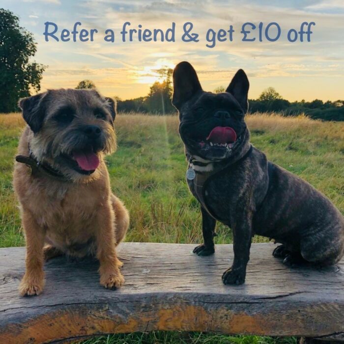 Recommend us to a friend and we’ll give you both £10 off! 