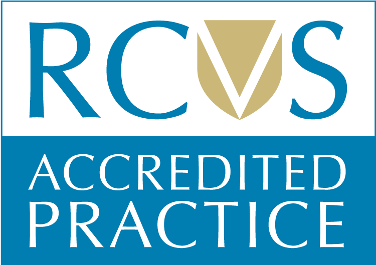 RCVS Accredited