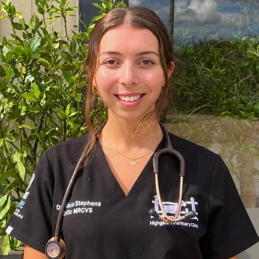 Alicia Stephens Dr Alicia Stephens, Veterinary Surgeon at Highgate Veterinary Clinic